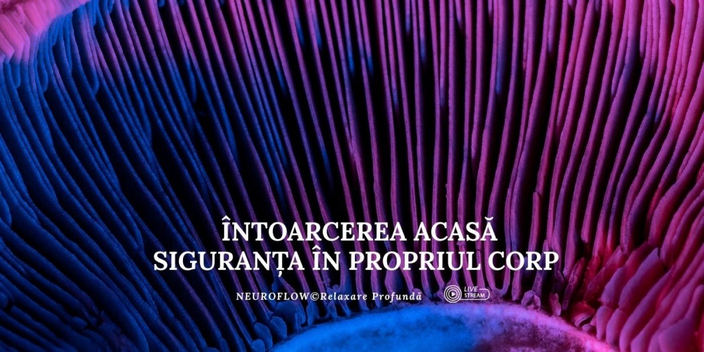 \u00centoarcerea Acas\u0103: Siguran\u021ba \u00cen Propriul Corp (Neuroflow\u00a9 Relaxare Profund\u0103)