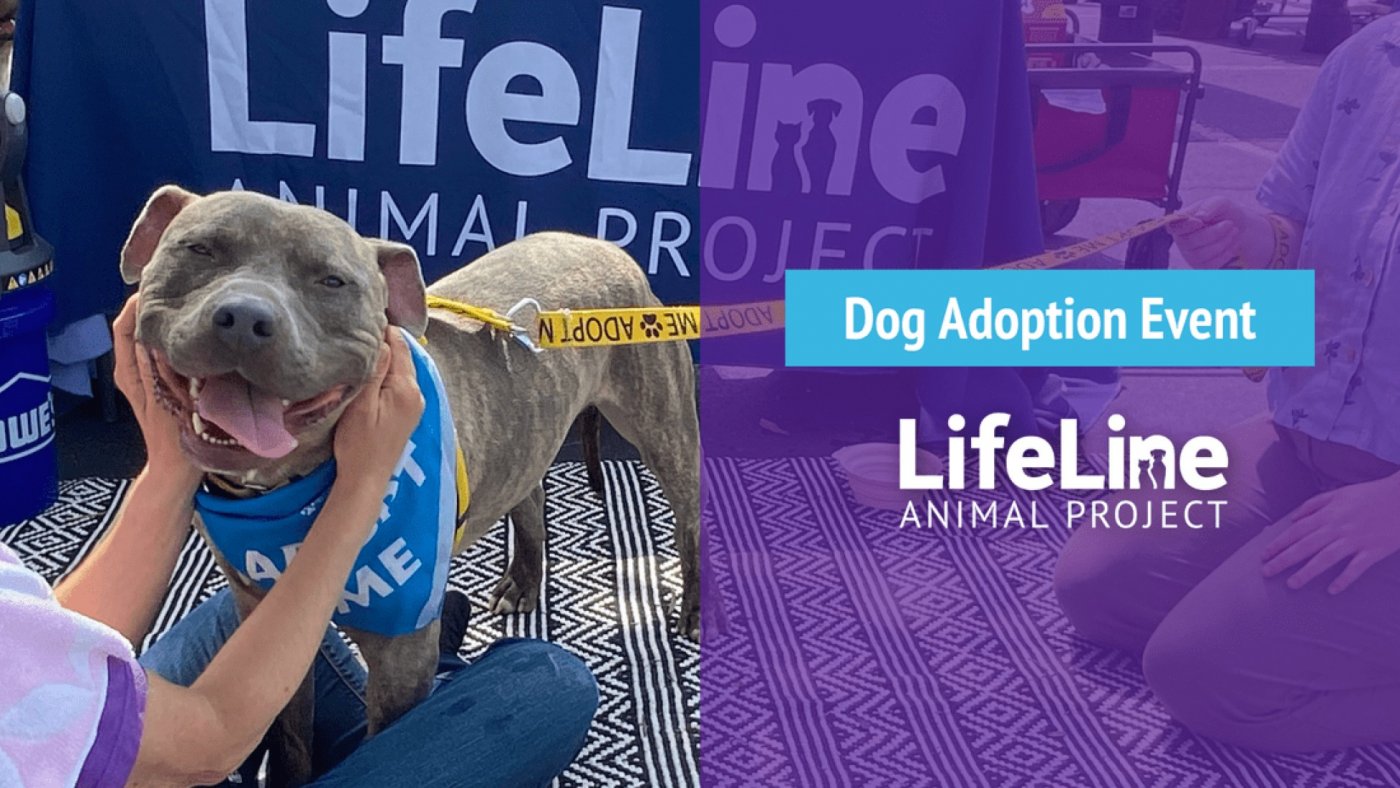 Bark Avenue Dog Adoption Event