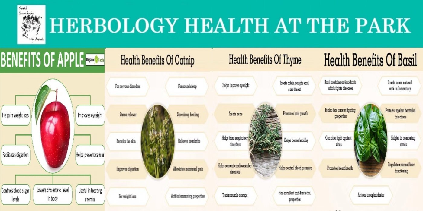 Herbology Health At The Park - 2 Seats Open!