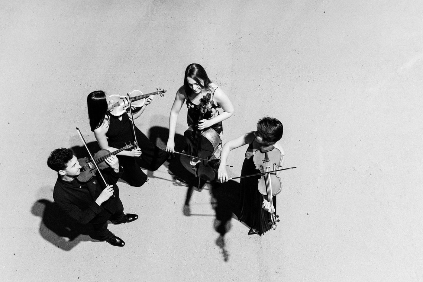 Carpe Diem String Quartet: Circle of 5ths