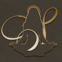 Sarah Sattva Wellness