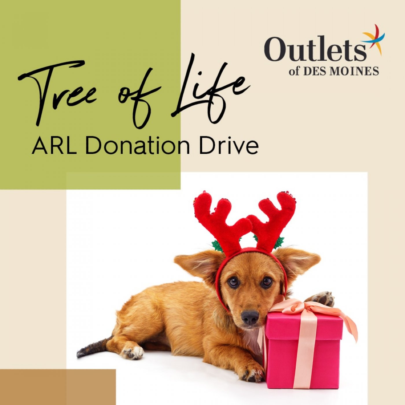 Outlets of Des Moines Hosts Animal Rescue League of Iowa\u2019s Annual Tree of Life Donation Event