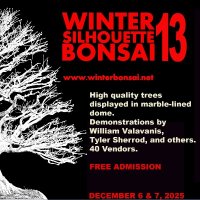 Winter Silhouette Bonsai Show 150 Research Campus Drive, Kannapolis NC 28081