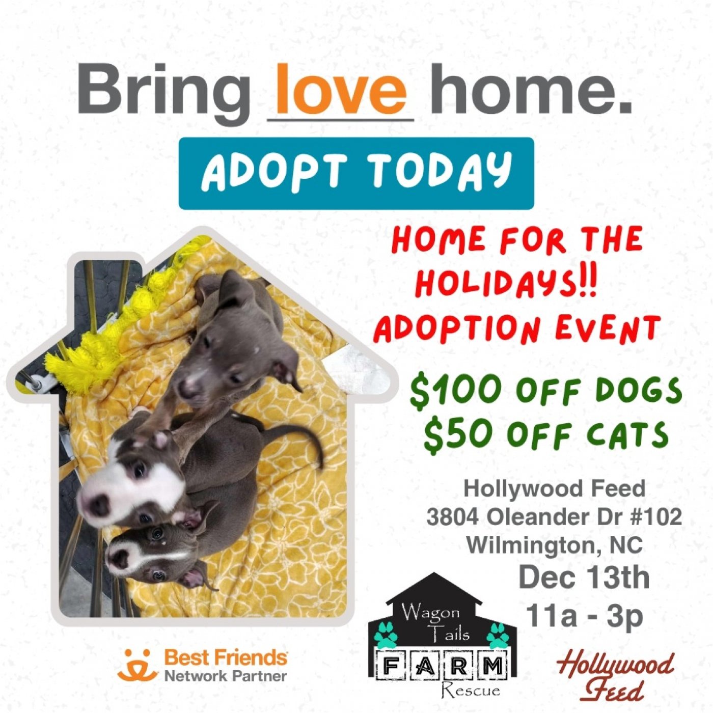Adoption Event at Hollywood Feed