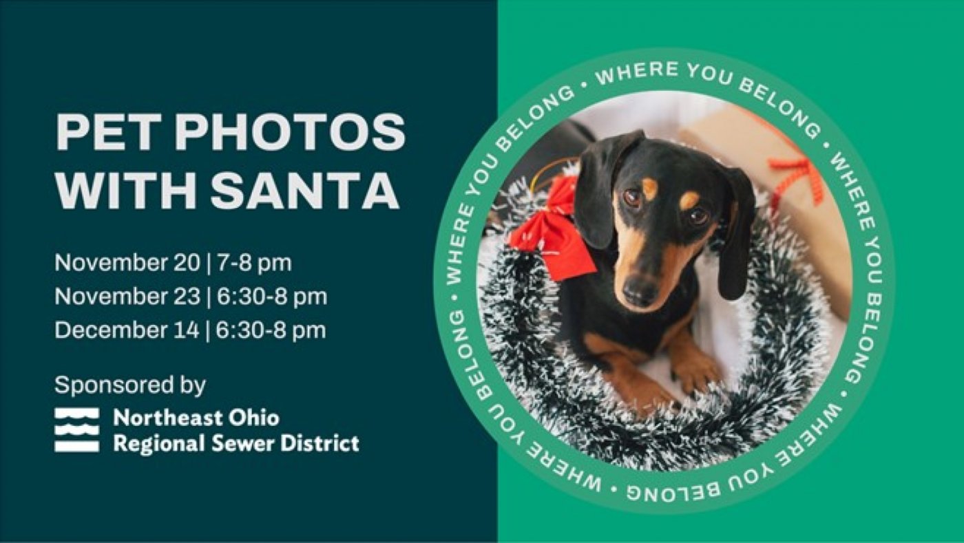 Pet Photos with Santa