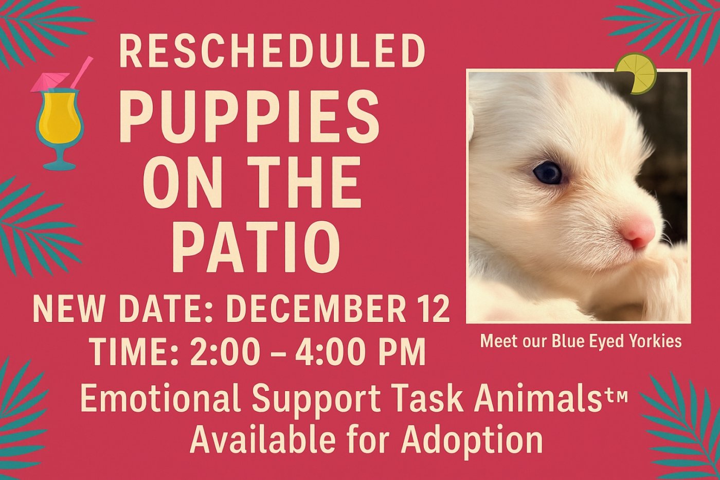 Cocktail Puppies presents Puppies on the Patio