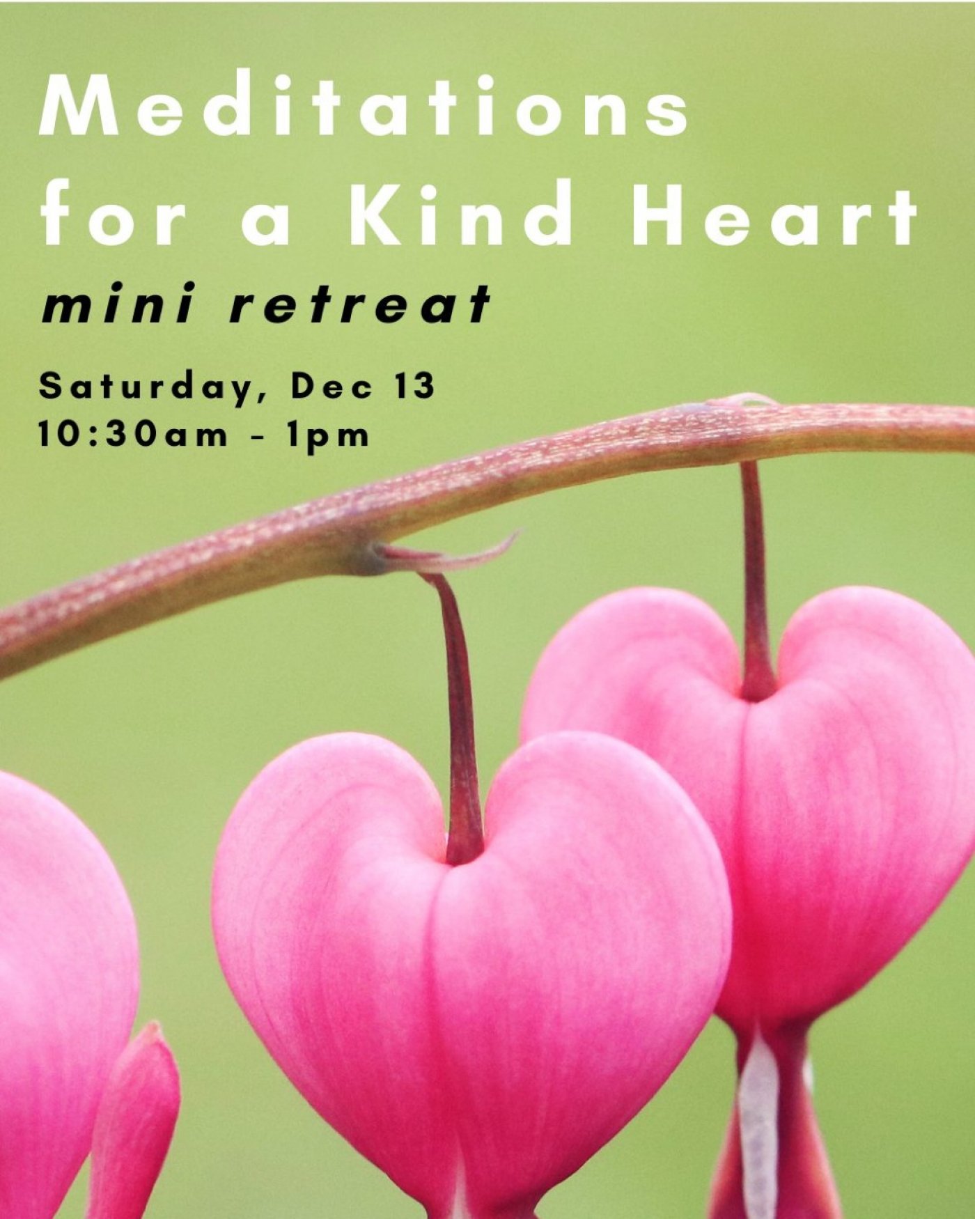 Meditations for a Kind Heart: A Mini Retreat