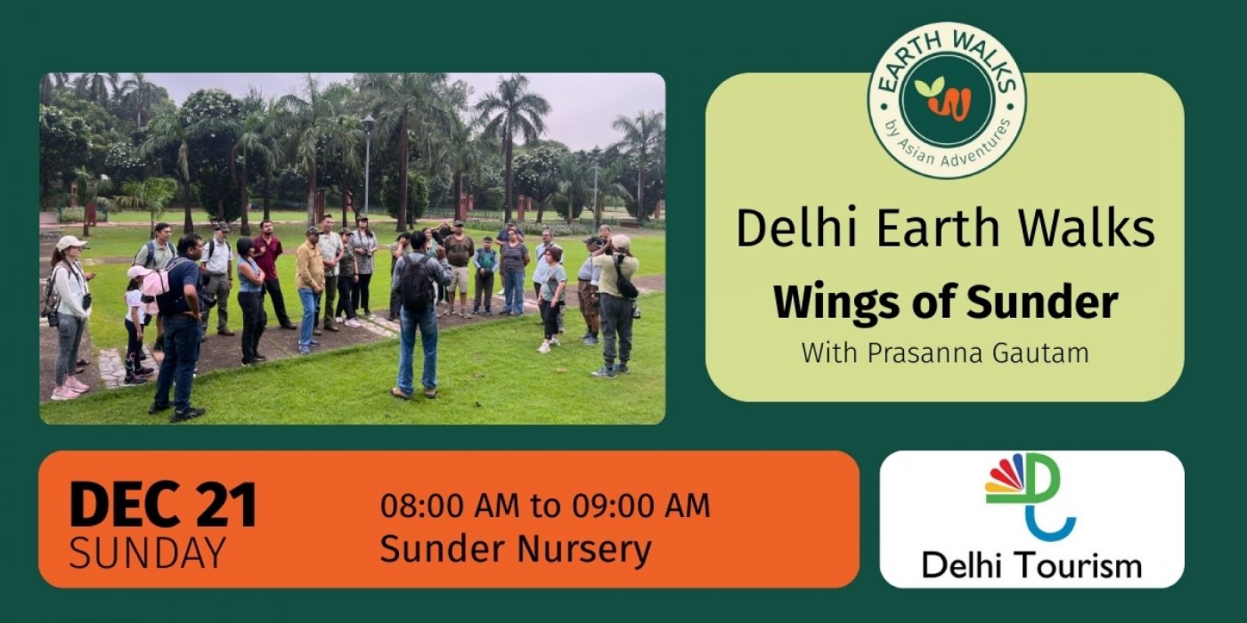 Wings of Sunder: A Birdwatching Earth walk