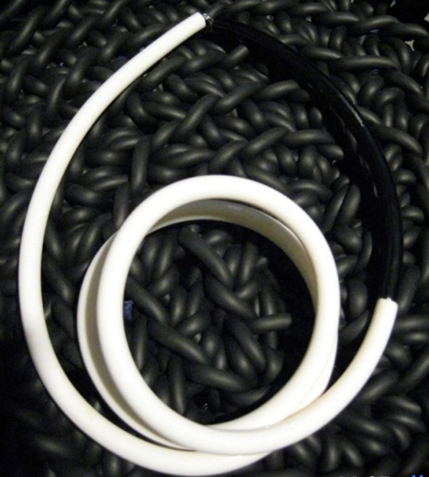 Natale nell'Arte 2025 - 2026