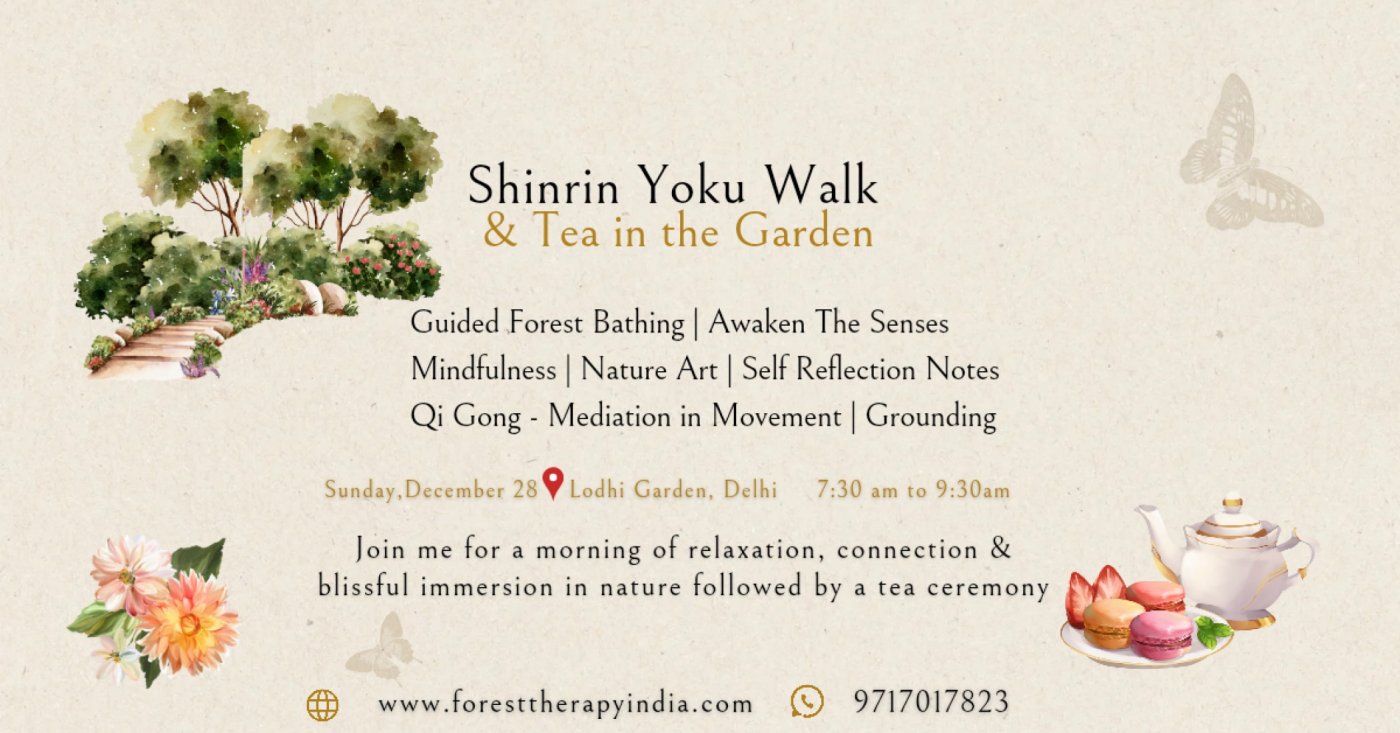 Forest Therapy Walk And Tea In The Garden