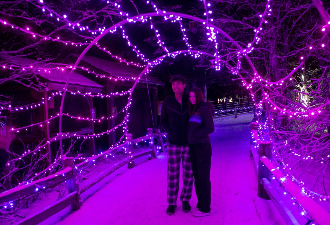 Zoo Lights- Anchorage