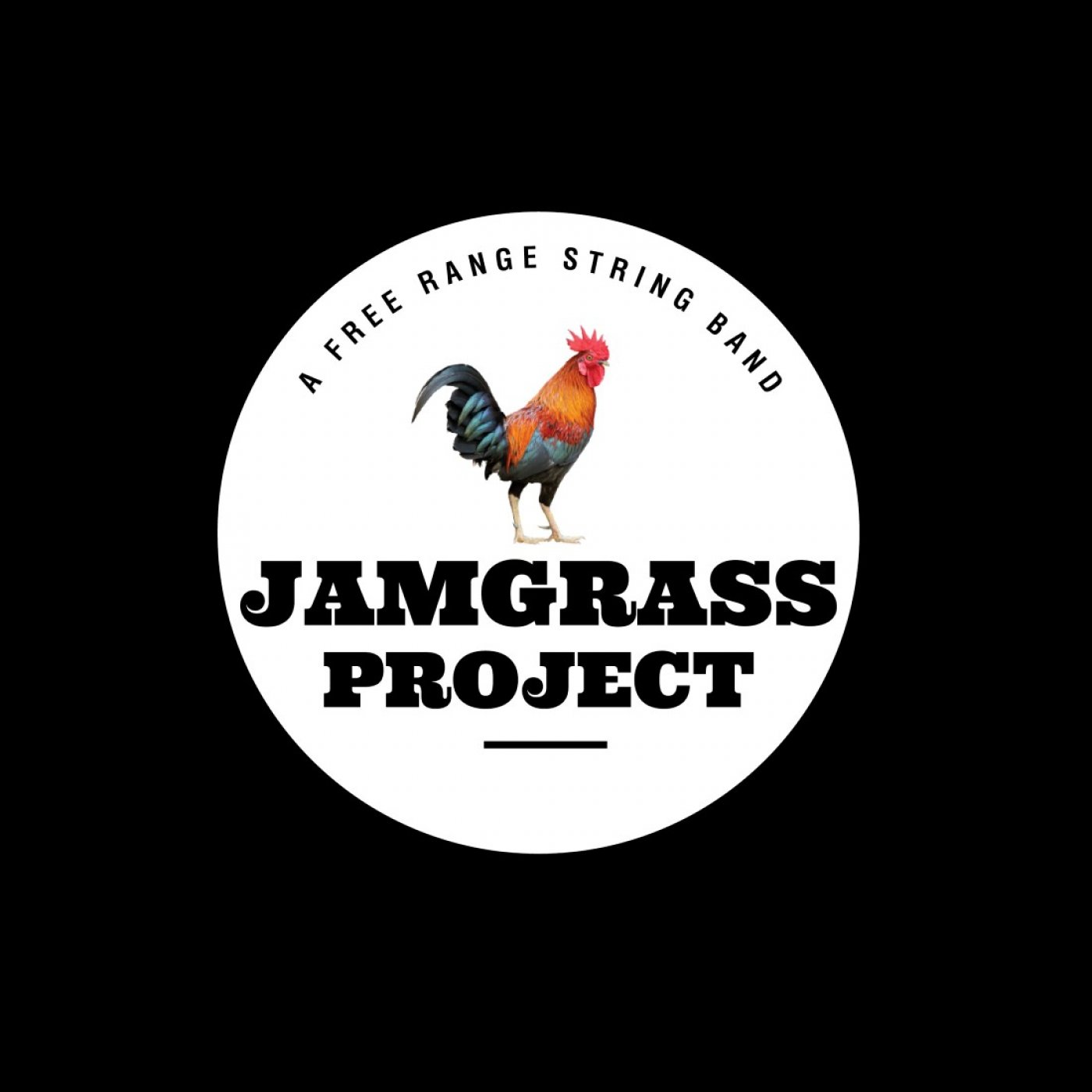 Jamgrass Project Sunday Matinee at Friendly