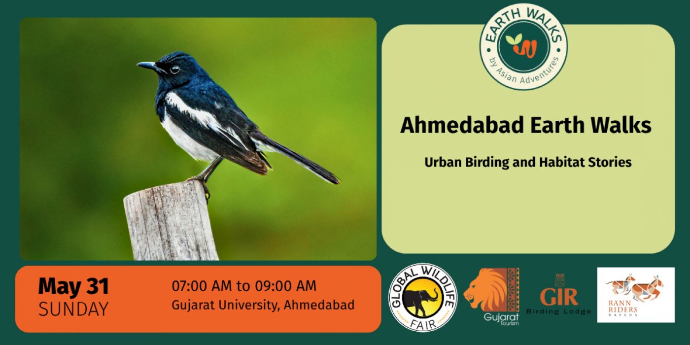 Urban Birding and Habitat Stories