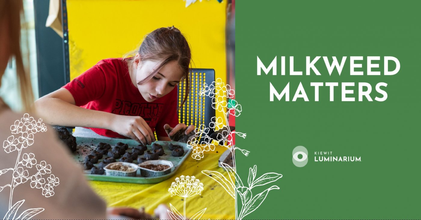 Milkweed Matters