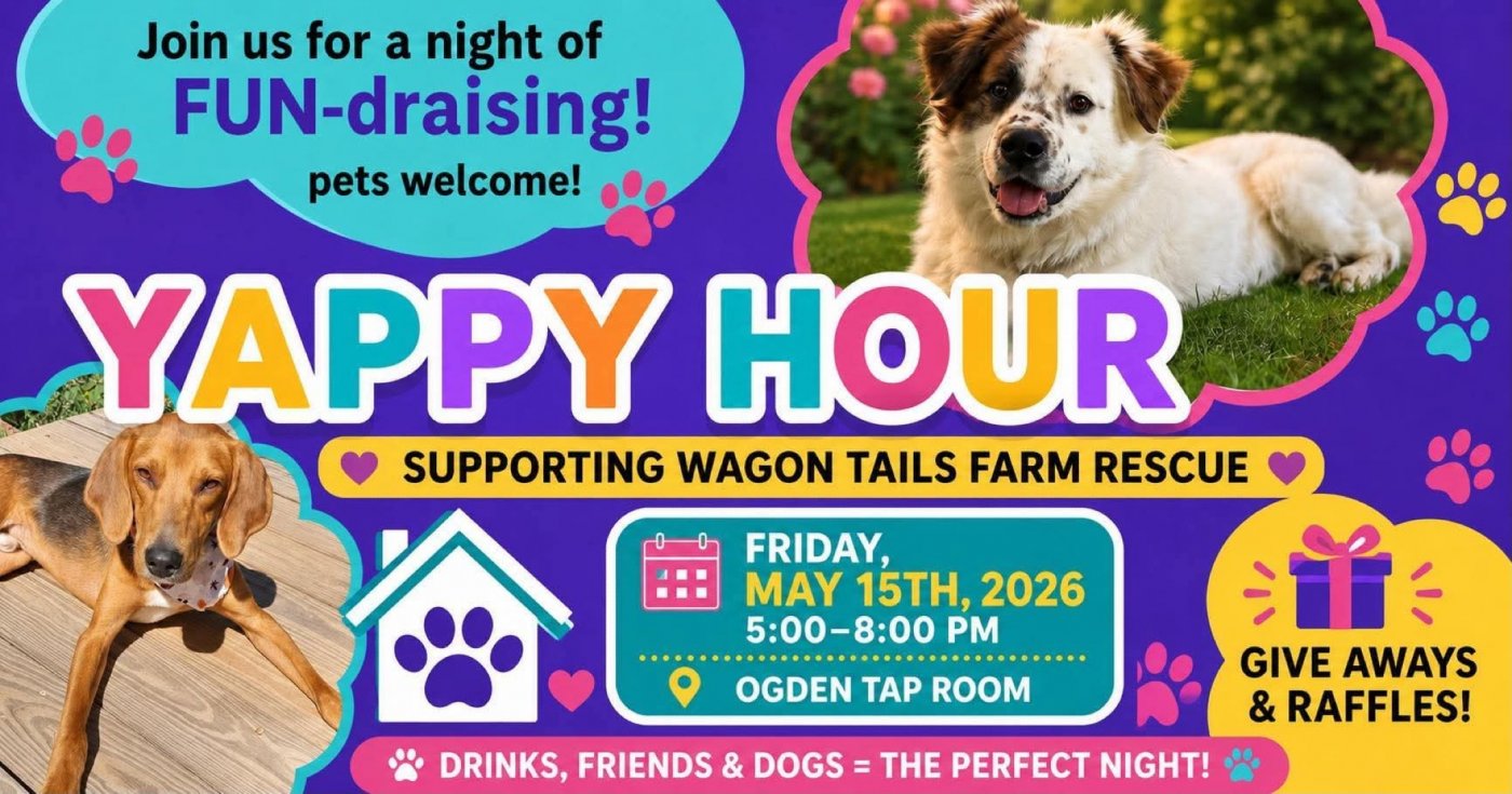 Yappy Hour