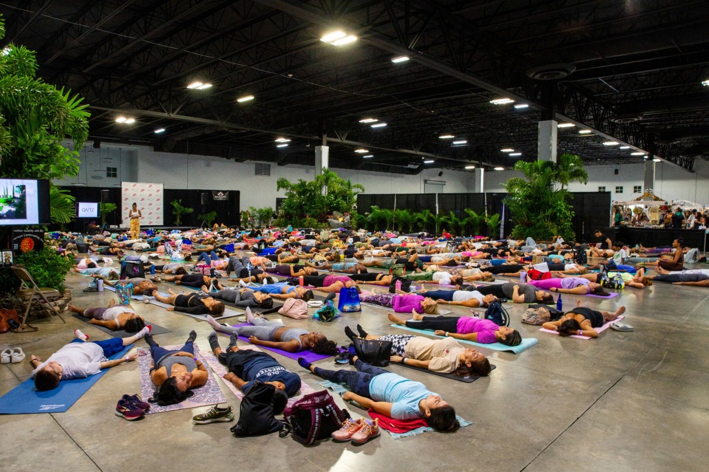 International Yoga Day Expo and Wellness Fair-100,000 sq ft of Fun