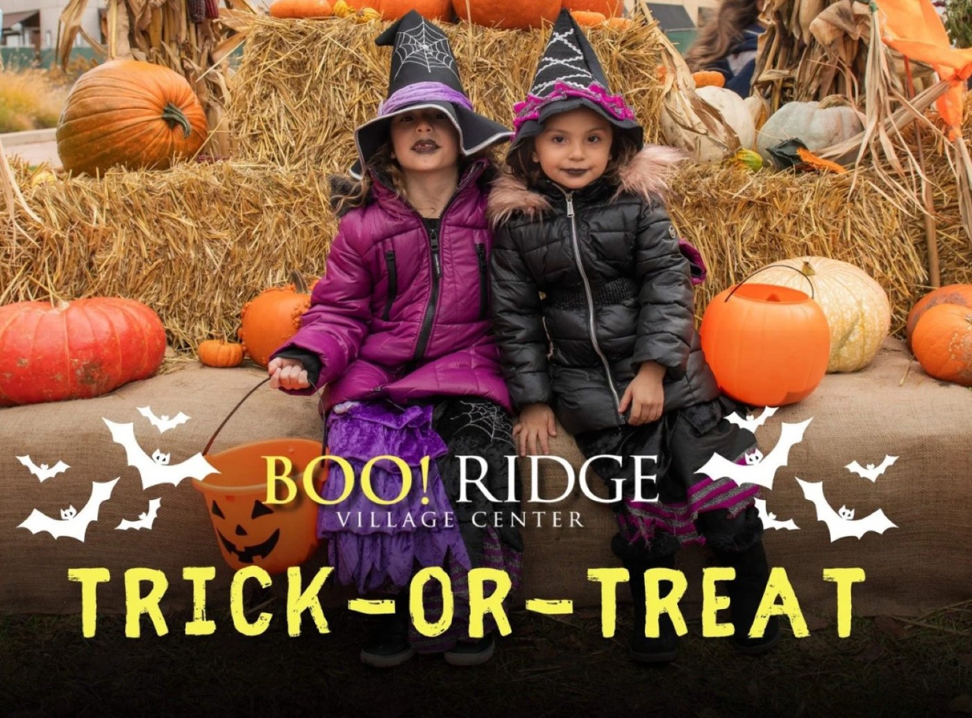 Boo! Ridge Trick - or - Treat at Burr Ridge Village Center on 24th ...