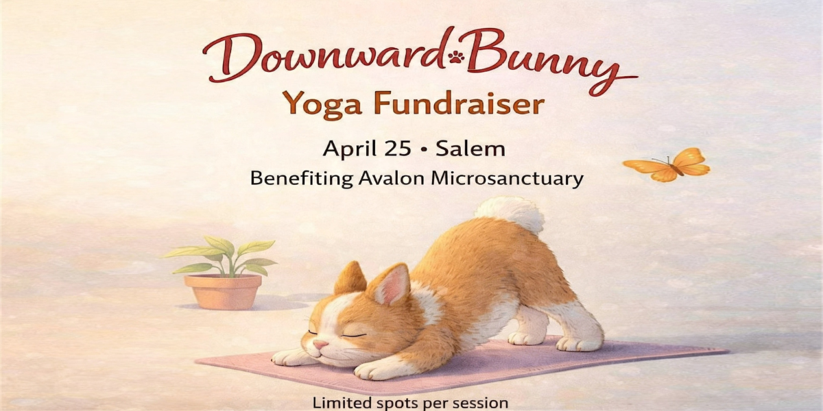 Downward Bunny: Bunny Yoga Fundraiser